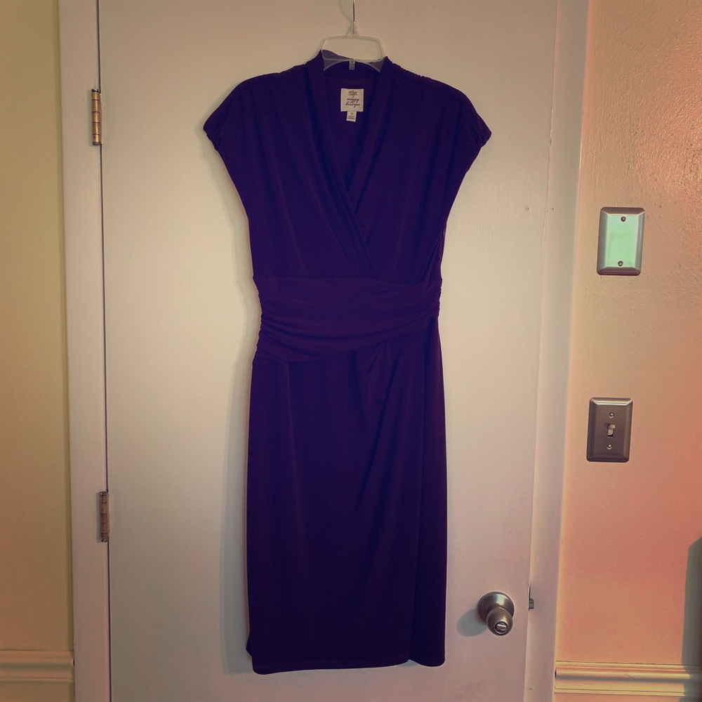 Suzi Chin Women’s Dress